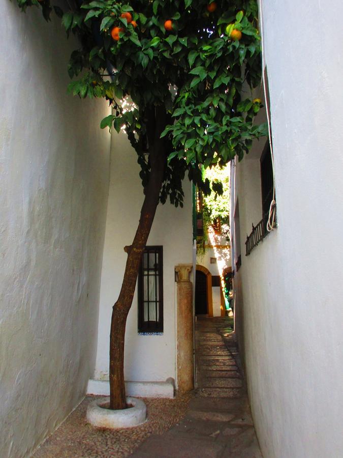 Cordoba Con Encanto Lubi I ภายนอก รูปภาพ